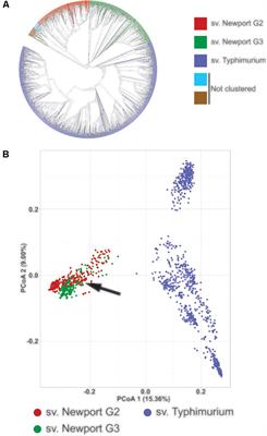 Genome-Wide Comparative Functional Analyses Reveal Adaptations of Salmonella sv. Newport to a Plant Colonization Lifestyle